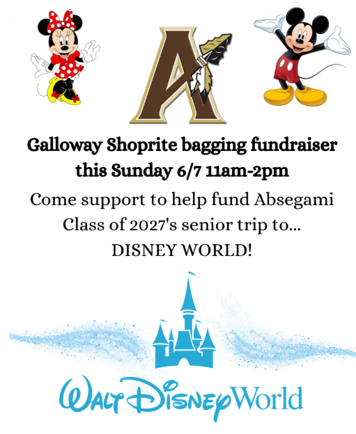 Event poster with Mickey and Minnie Mouse icons, a letter A, and a Disney World logo. Details about a shopping event to fund a trip.