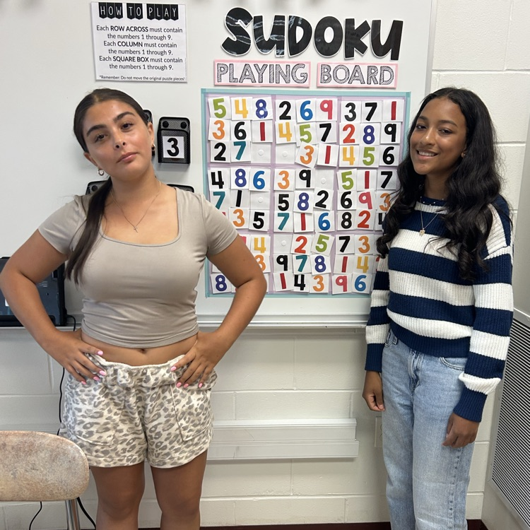Students in Mrs. Gorrin and Mrs. Lorenzo’s Algebra 1 class are working on an interactive Sudoku board after they finished their assignment for the day! All of the classes in room 412 are working together to complete the puzzle.