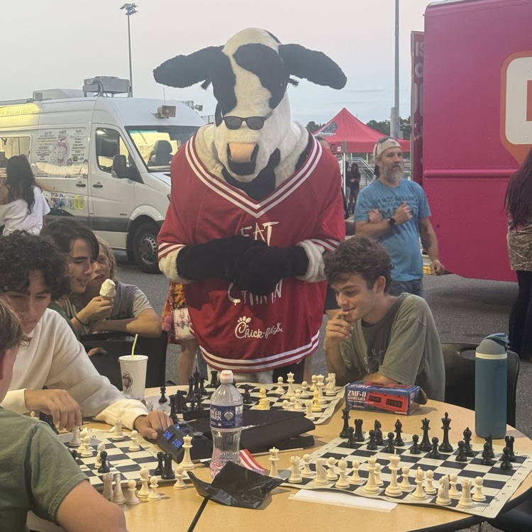 cow playing chess