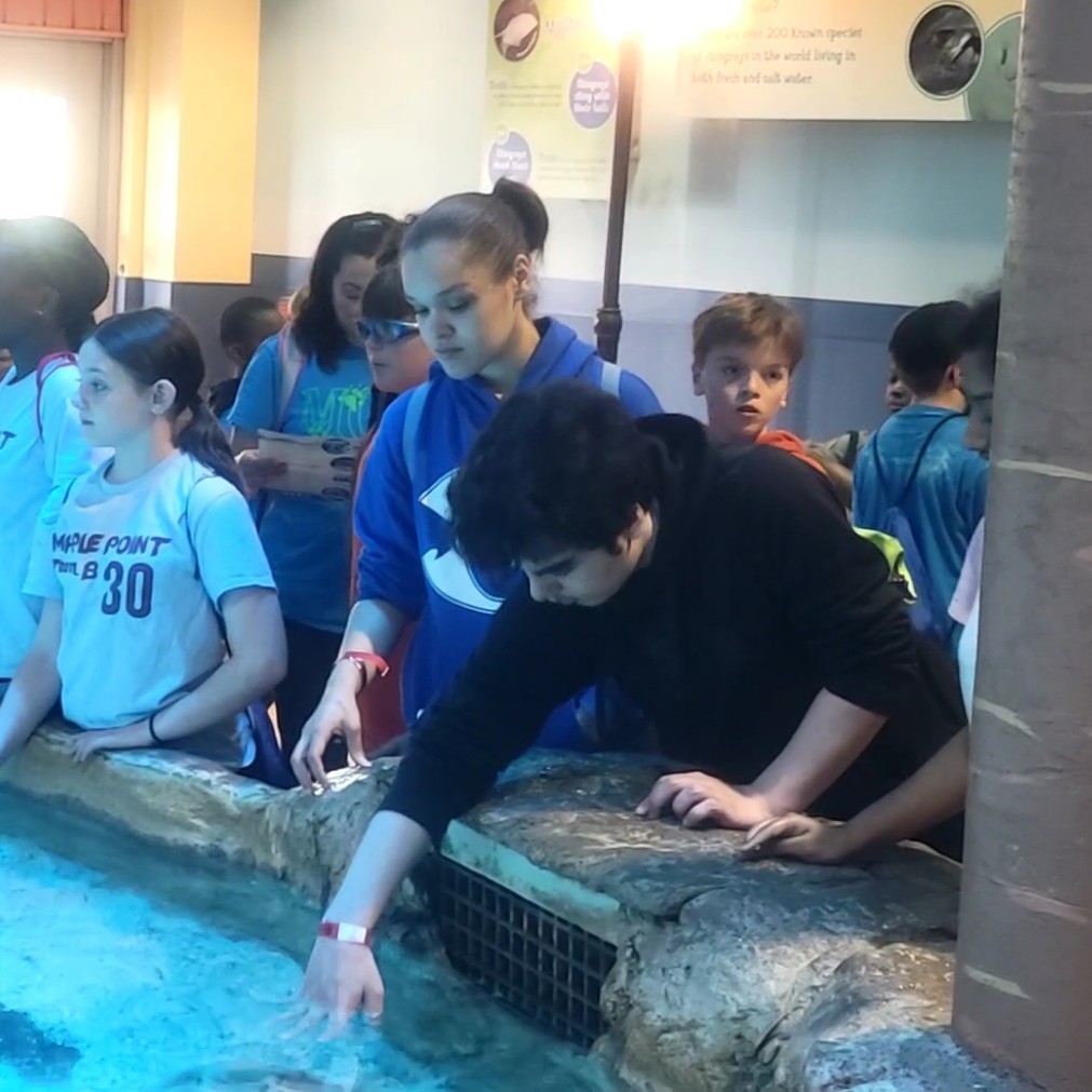 Oakcrest REACH students visited Adventure Aquarium. The day was full of learning and adventure. We survived the hungry hippos and dared to cross the shark bridge! It was a great way to end our unit on the ocean!
