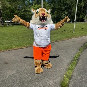 wildcat