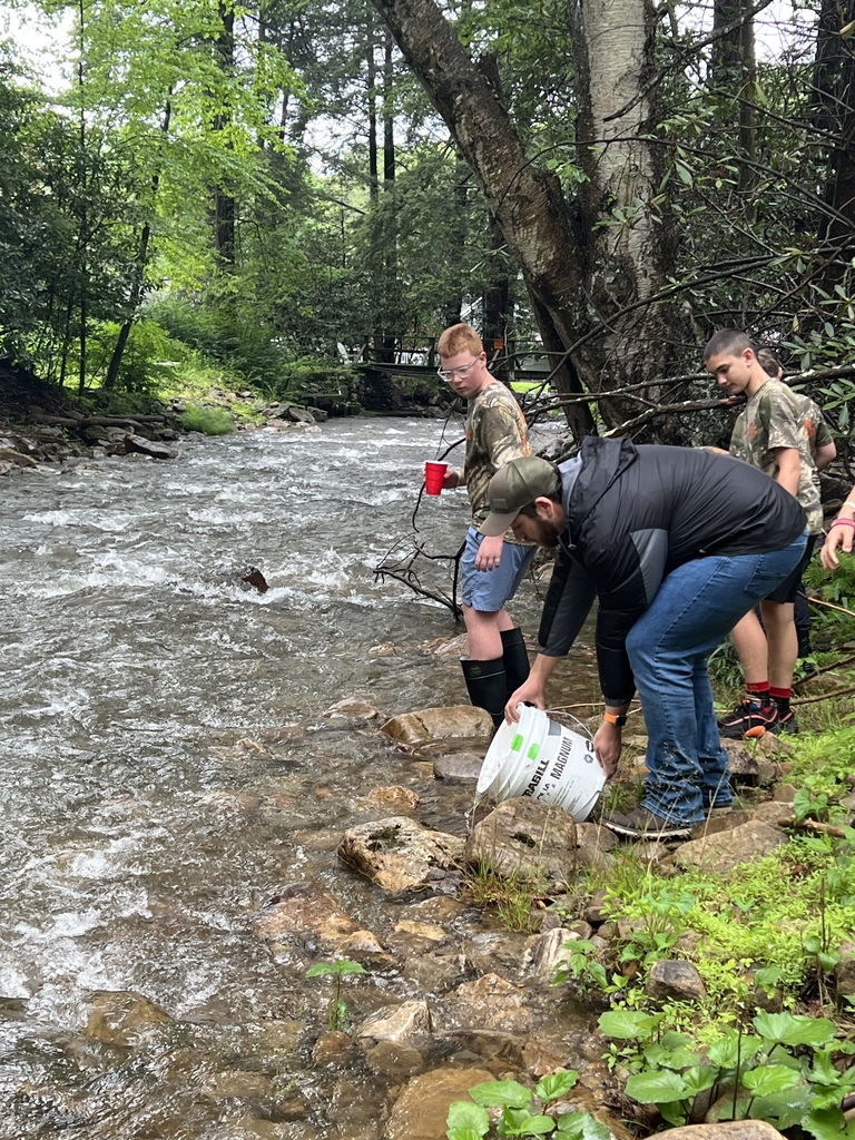 Trout program
