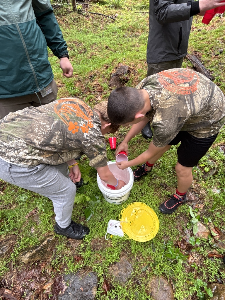 Trout program