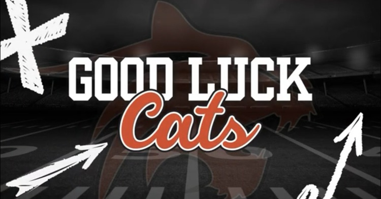 good luck cats