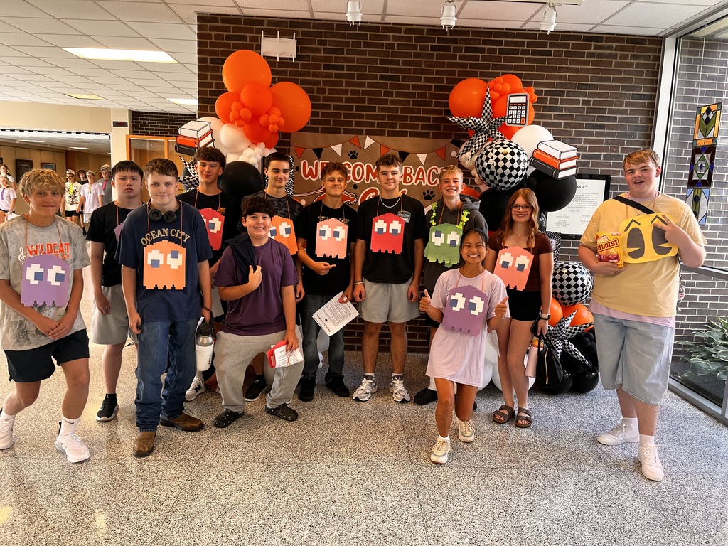 WEB and Link Crew