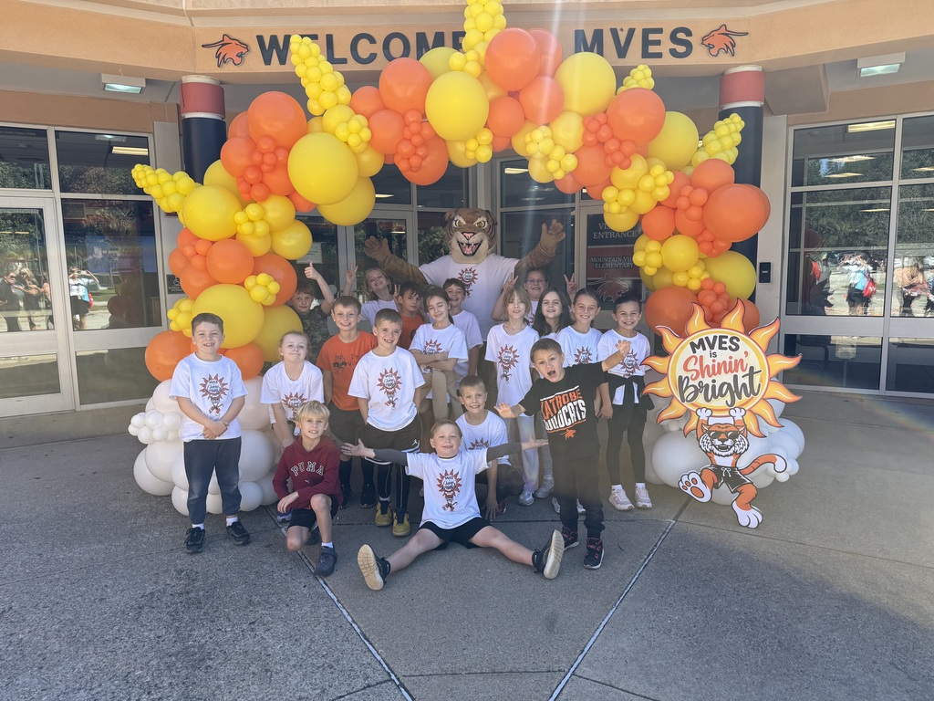 Wellness Walk