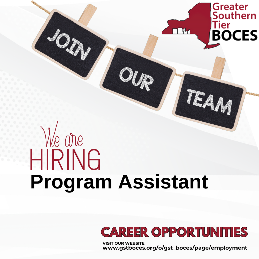 Program Assistant