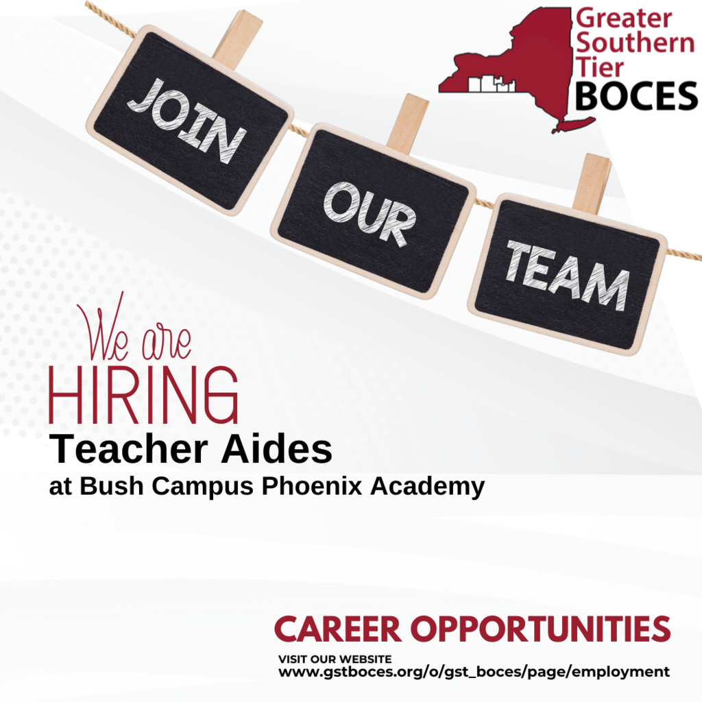 Phoenix Academy Teacher Aides