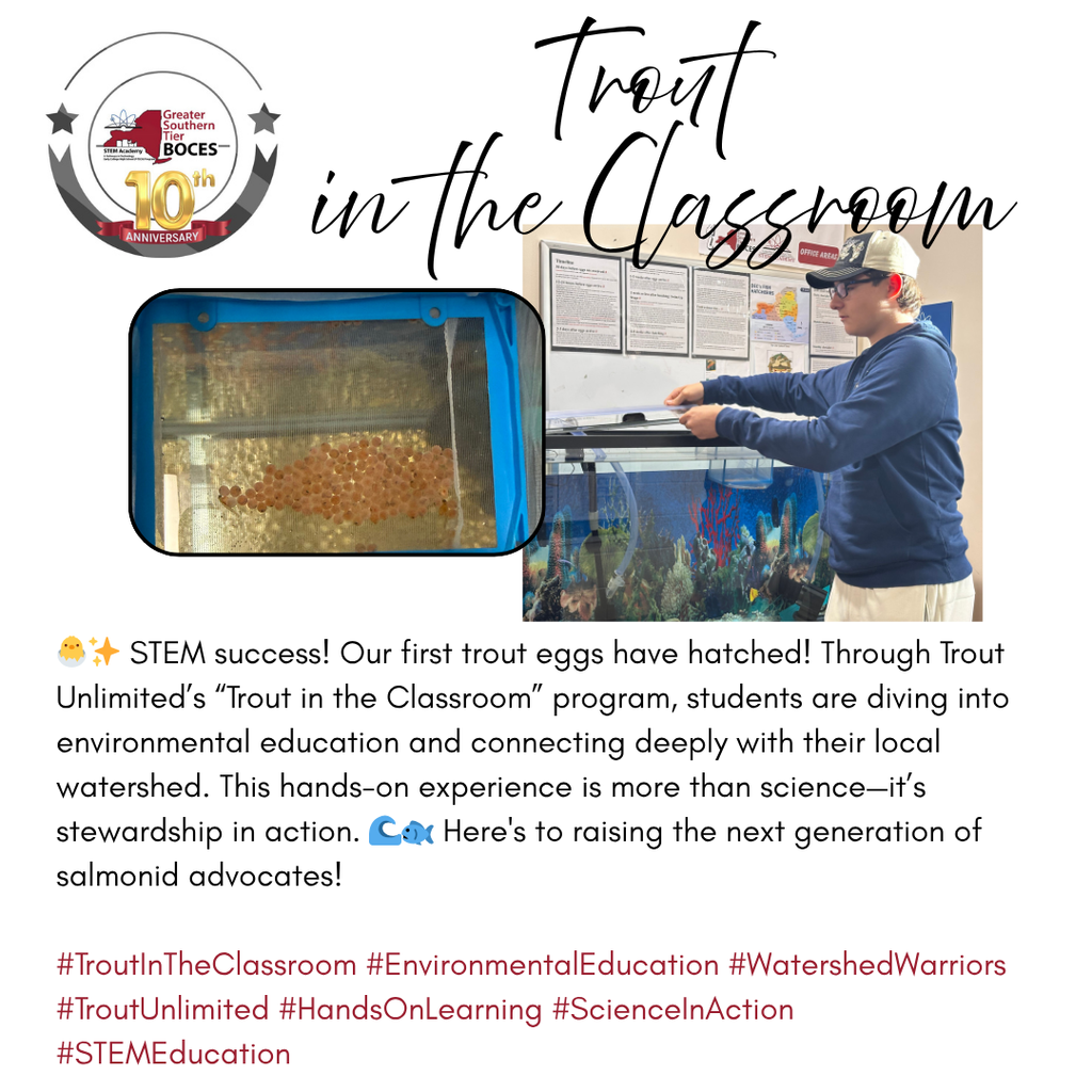Our first trout eggs have hatched! Through Trout Unlimited’s “Trout in the Classroom” program, students are diving into environmental education and connecting deeply with their local watershed.