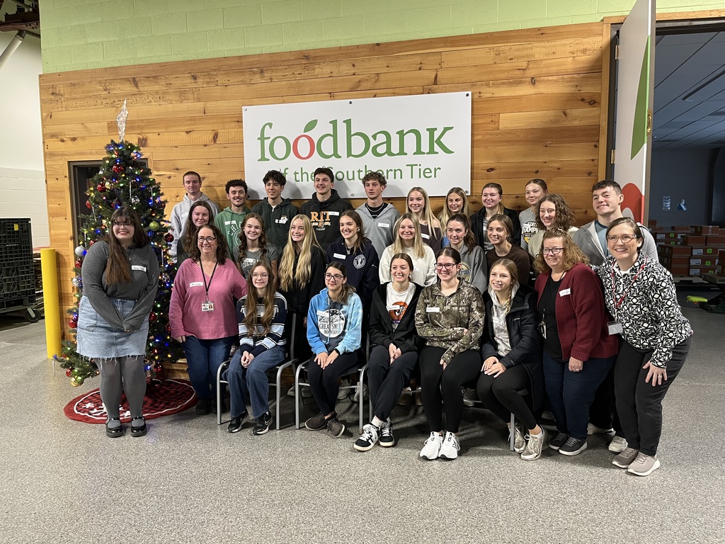 New Visions volunteering