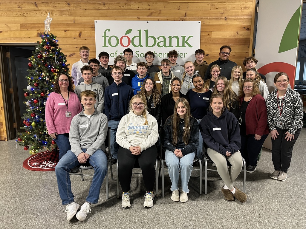 New Visions volunteering