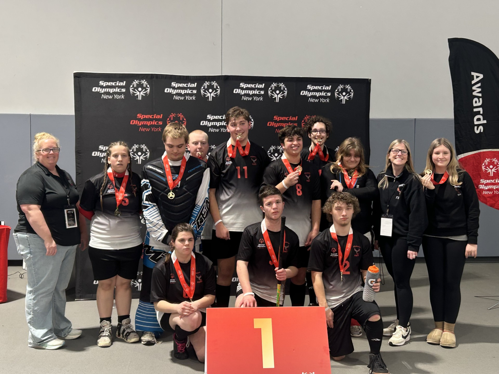 The Phoenix Fury Floor Hockey Team