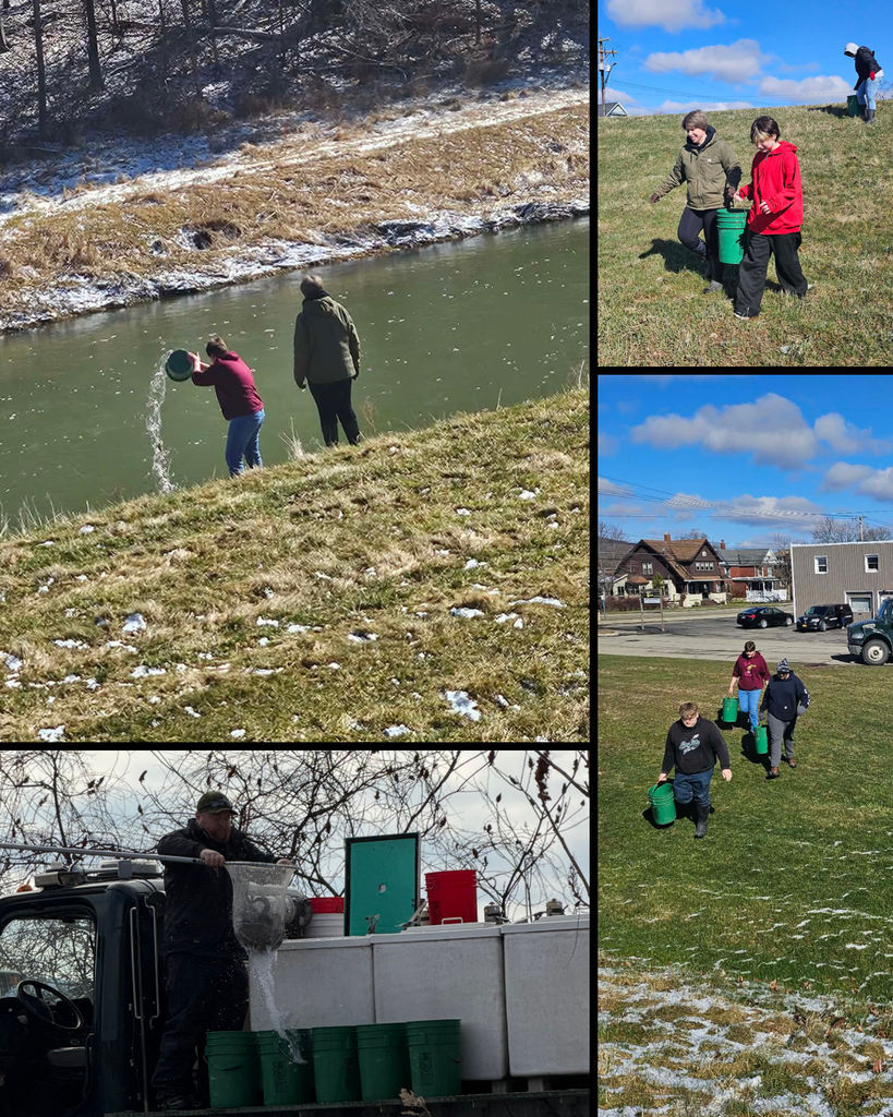 Photos of students stocking fish - going from a truck to the water with fish in their buckets.