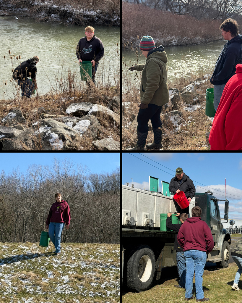 Photos of students stocking fish - going from a truck to the water with fish in their buckets.