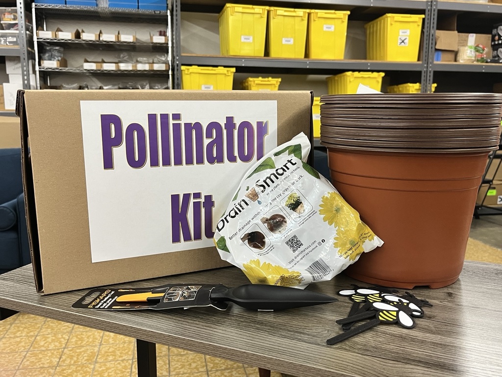 Box with gardening supplies