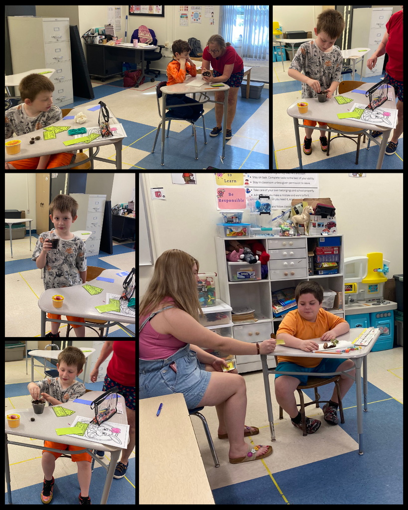Arbor Day planting in a classroom