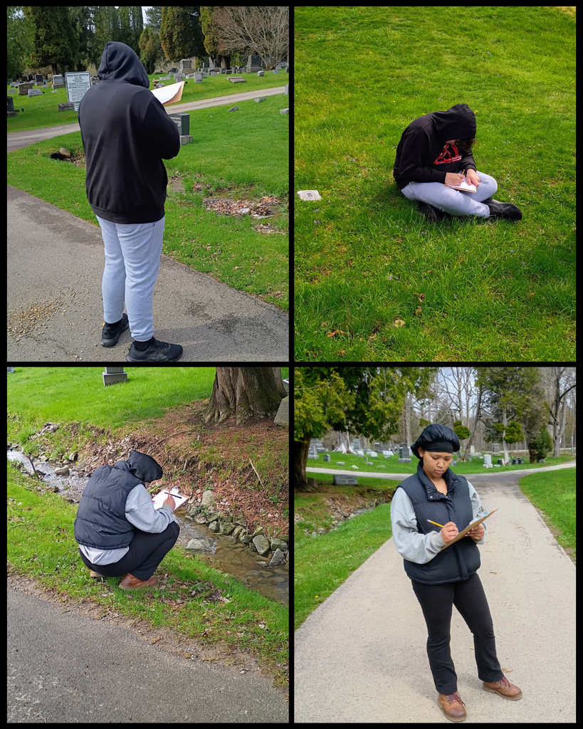 Students drawing outside.