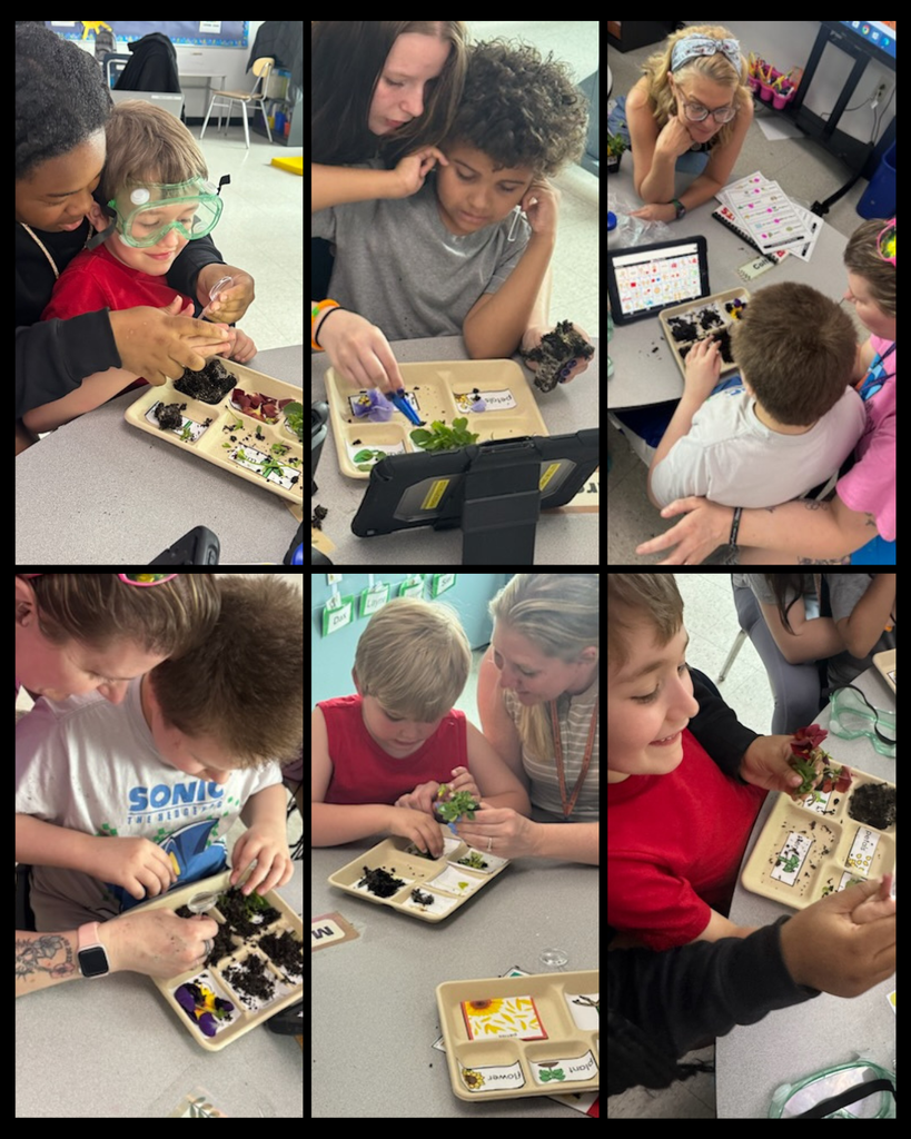 Students working with an instructor to plant seeds.