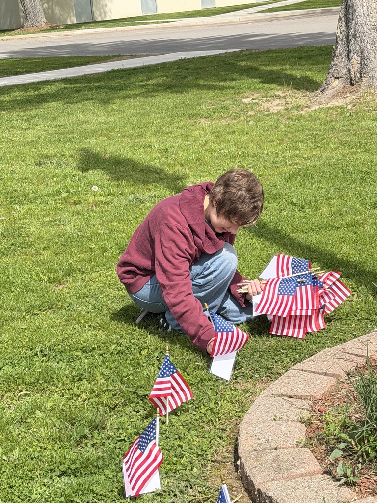 Student putting flags into the garden
