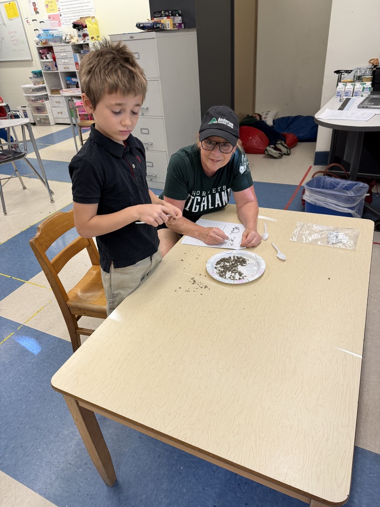 A student and teacher at a table dissecting owl pellets.