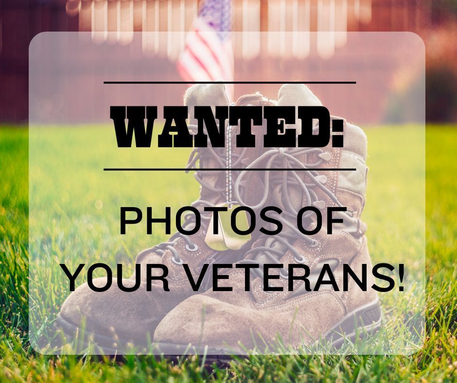 Veterans Day Photos