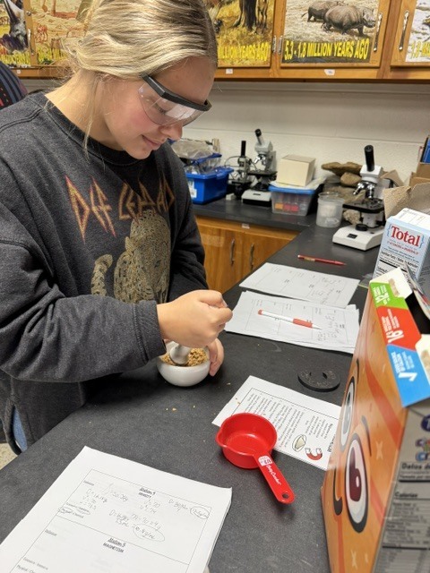 Student doing science project
