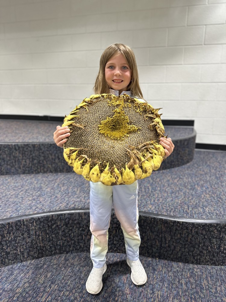 Teddi with her winning sunflower