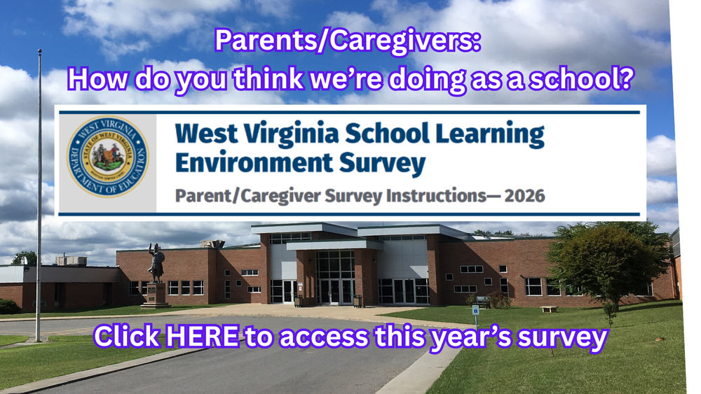 Parent-Caregiver Survey