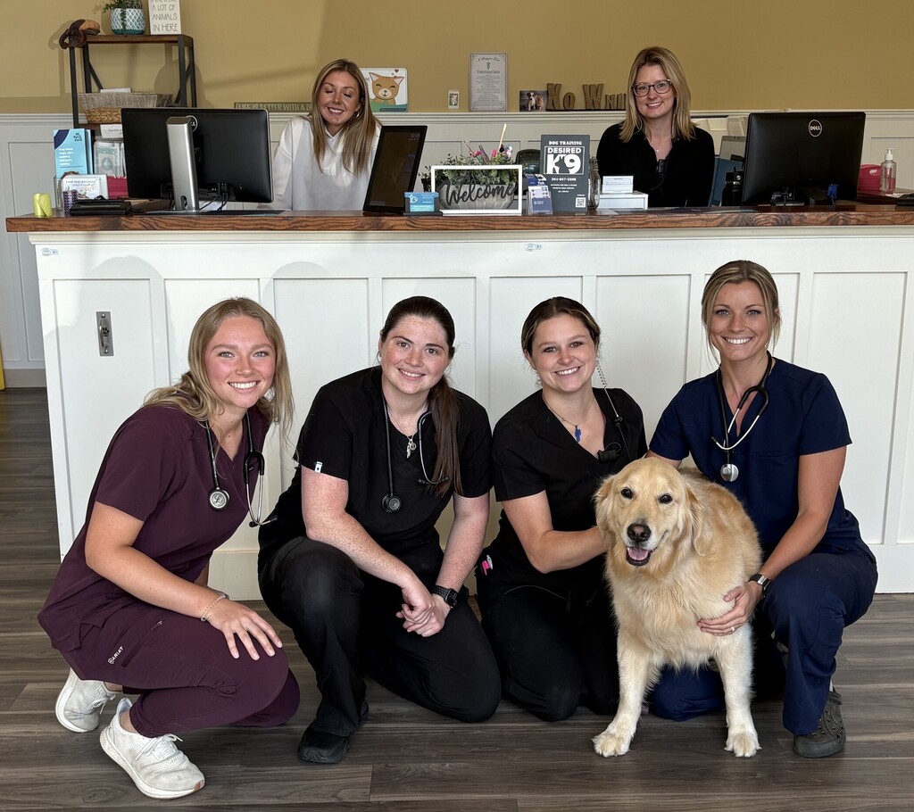 Ruby at the vet