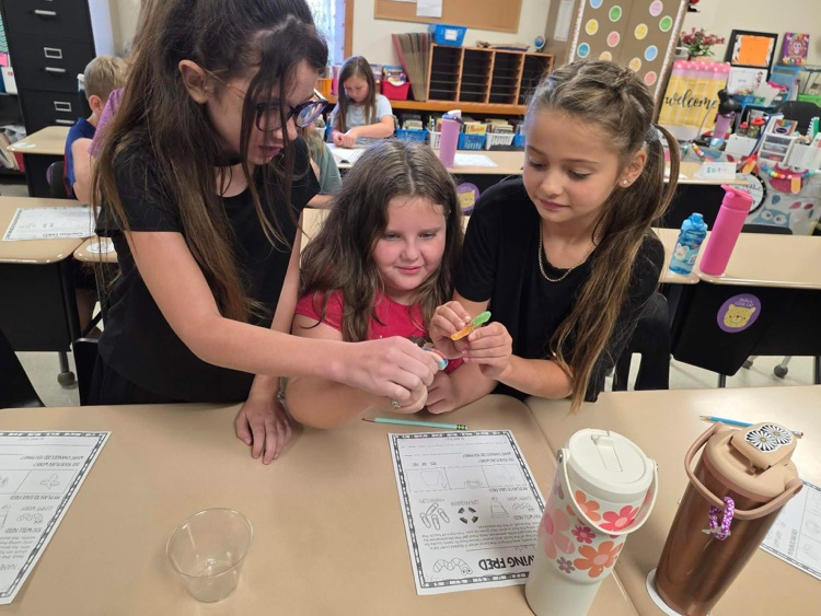 Saving Fred Science Activity