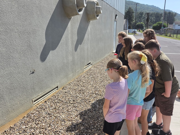Students in a group looking at a Mantis while their teacher tells them all about it! 