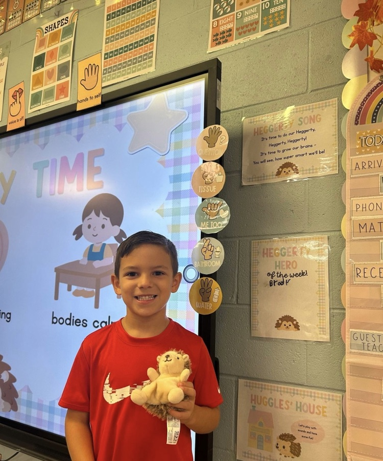 A boy holding a stuffed hedgehog 