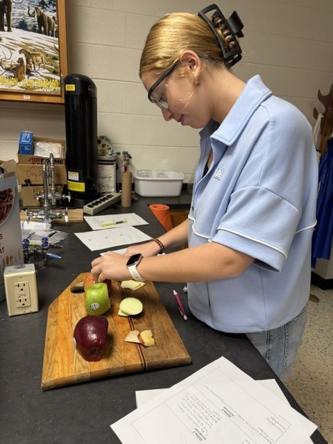 student doing science project