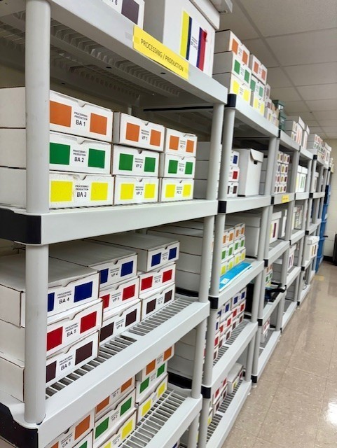 Sorting