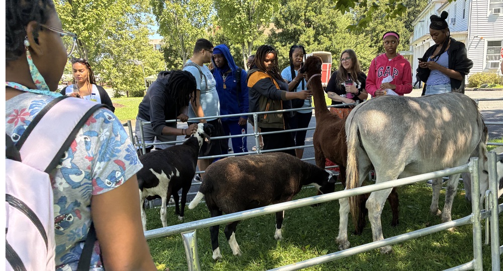 The farm at KCA!