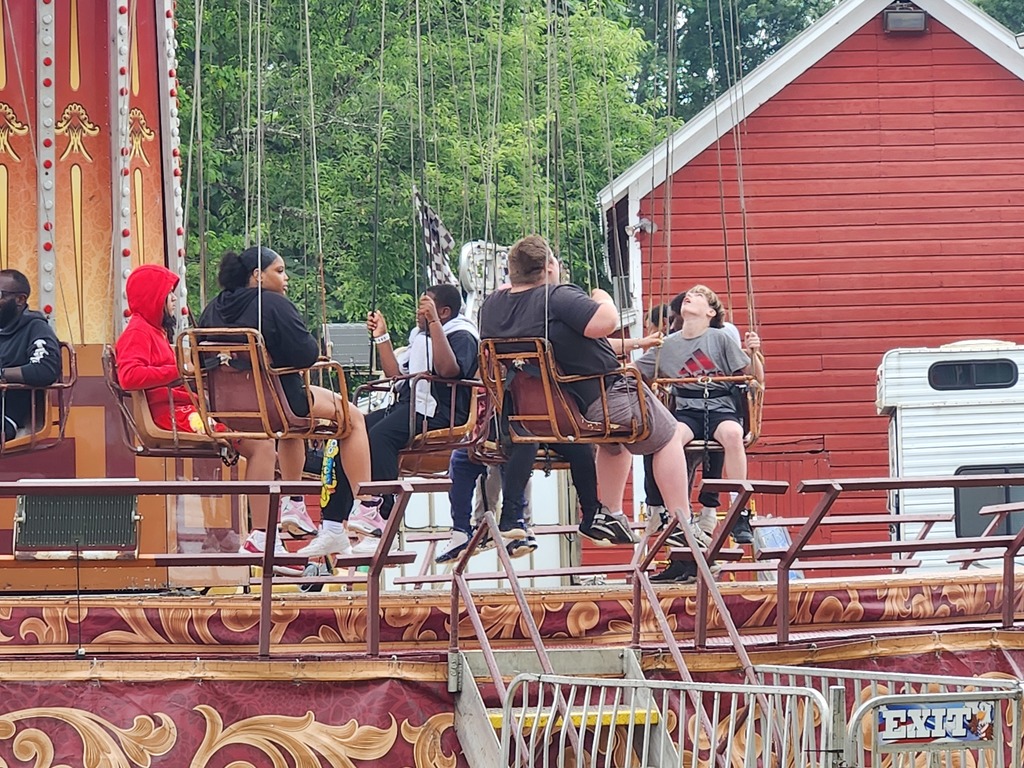 swings