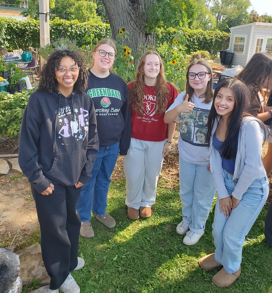 Orchestra in garden