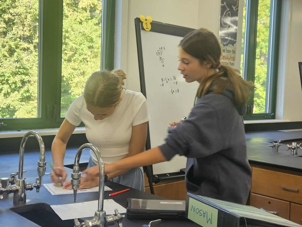 Algebra 8th Grade Students completing math puzzles