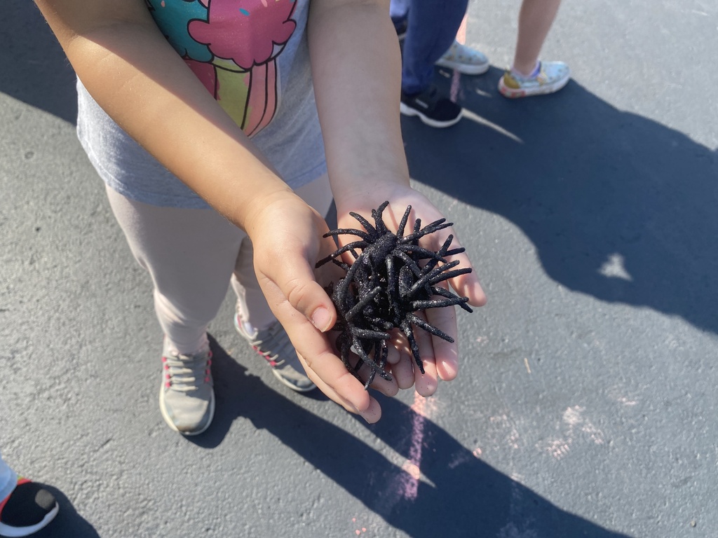 A handful of spiders for the spider toss