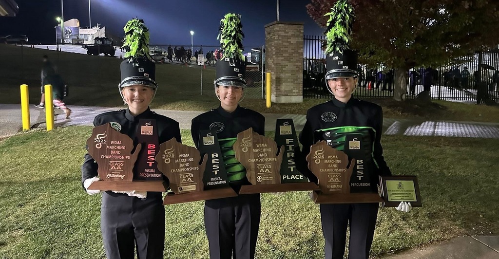 Marching Band at State Competition
