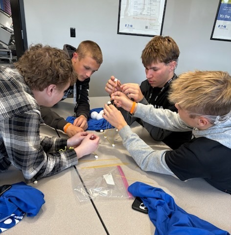 Students building the marshmallow and straw tower