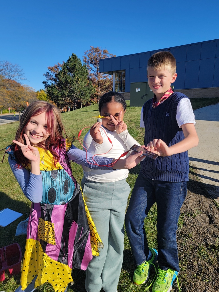 Students in costumes for book character day