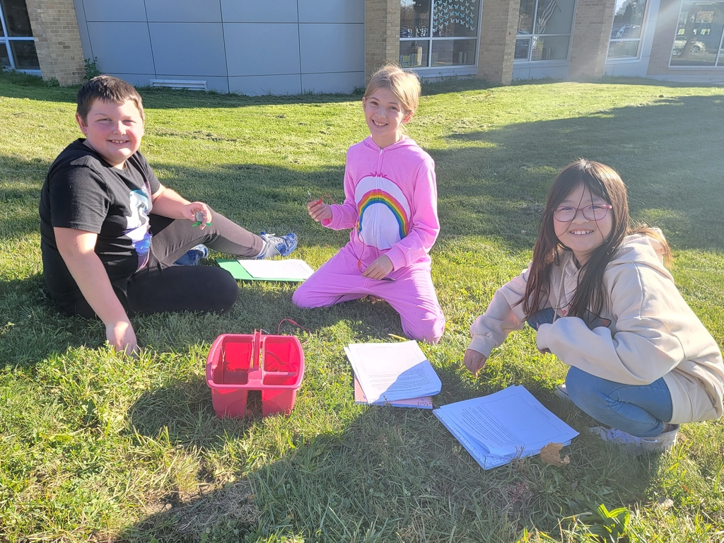 Students in costumes for book character day