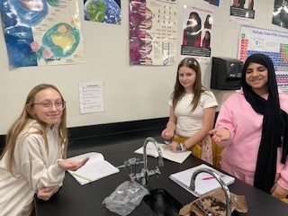 Gratitude Penny Transfer Activity