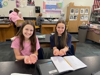 Gratitude Penny Transfer Activity