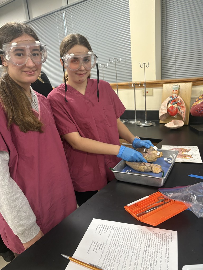 Biomedical Innovations Students Dissect Sheep Hearts