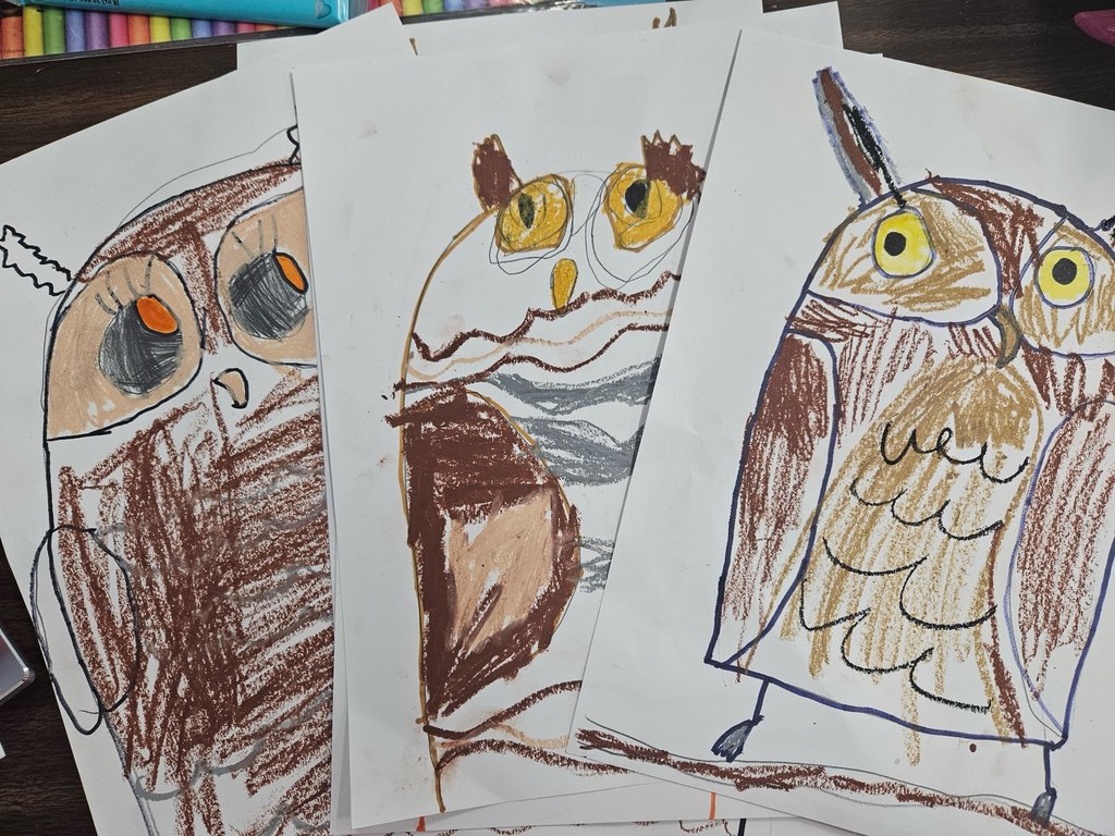 Three children's drawings of owls with colorful details.