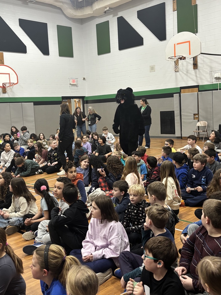 Greendale Panther Mystery Reader