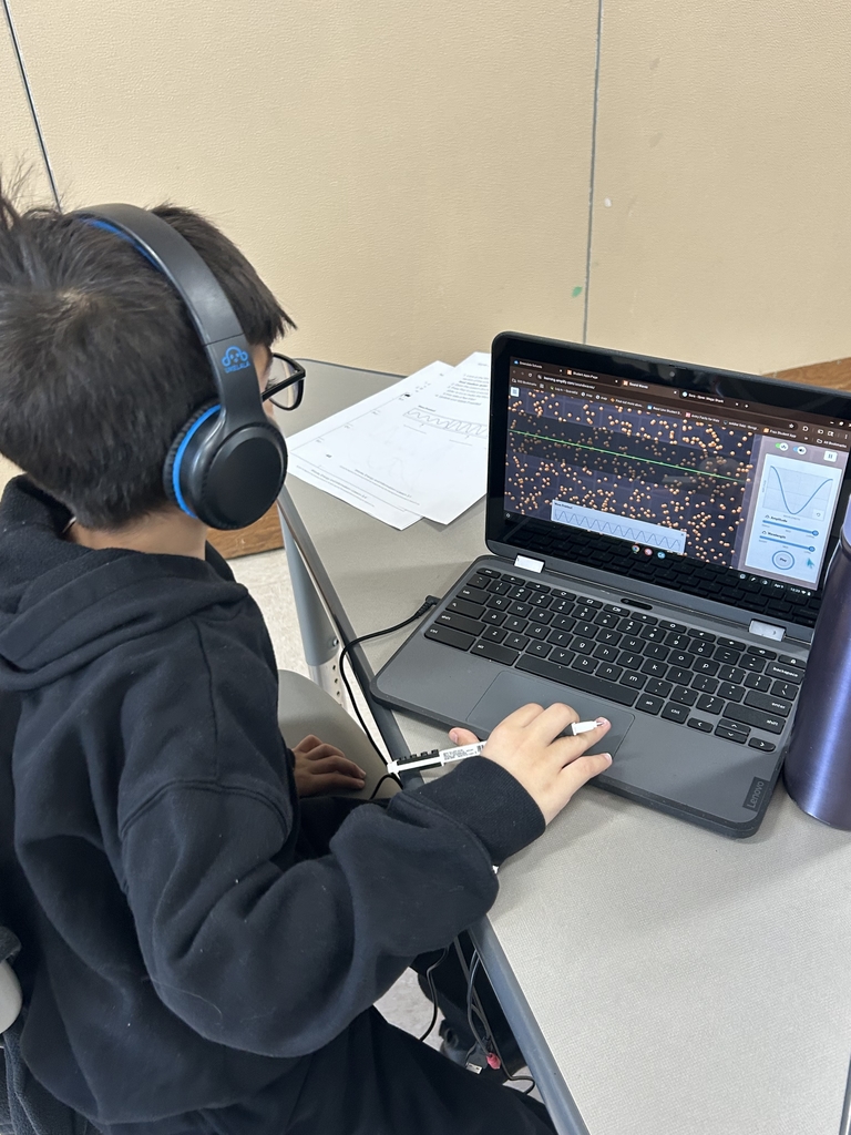 Boy on laptop researching how different animals communicate with each other.