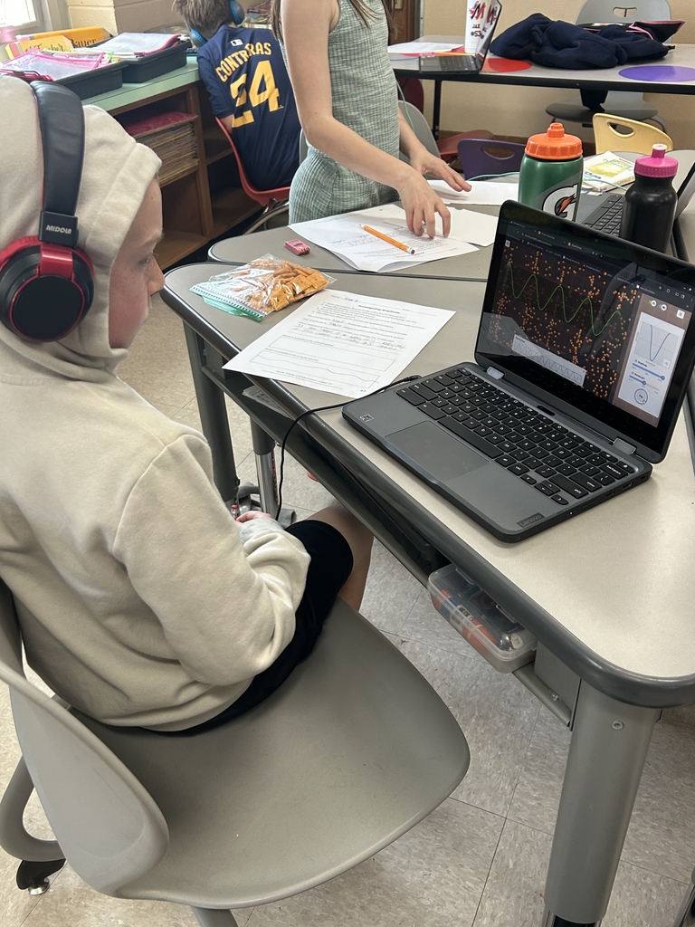 Student on laptop with others in the background researching how different animals communicate with each other.